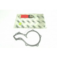 GUARNIZIONI POMPA ACQUA VOLKSWAGEN GOLF (1974 - 1985) 5960283