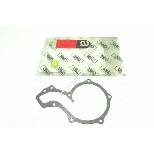 GUARNIZIONI POMPA ACQUA VOLKSWAGEN GOLF (1974 - 1985) 5960283